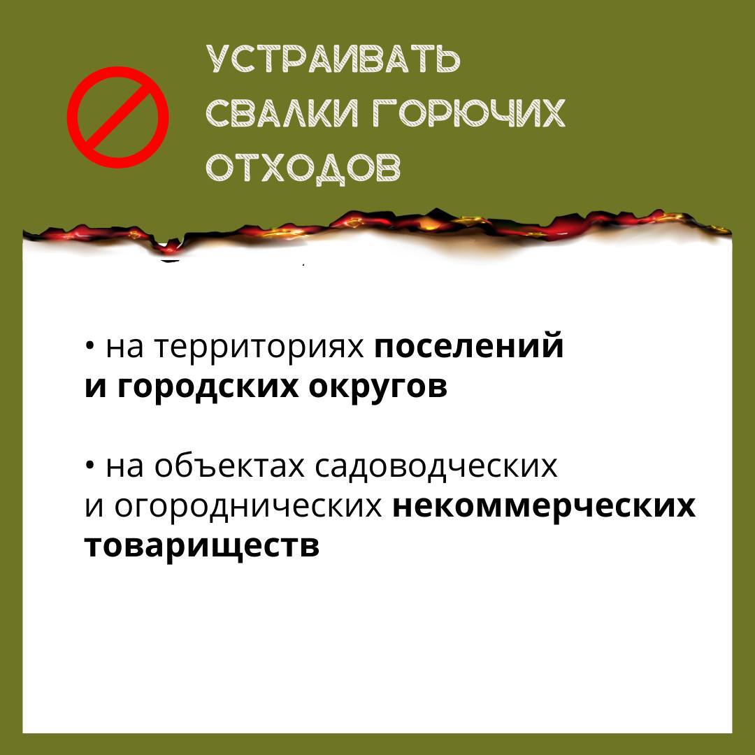1652228992783.jpg
